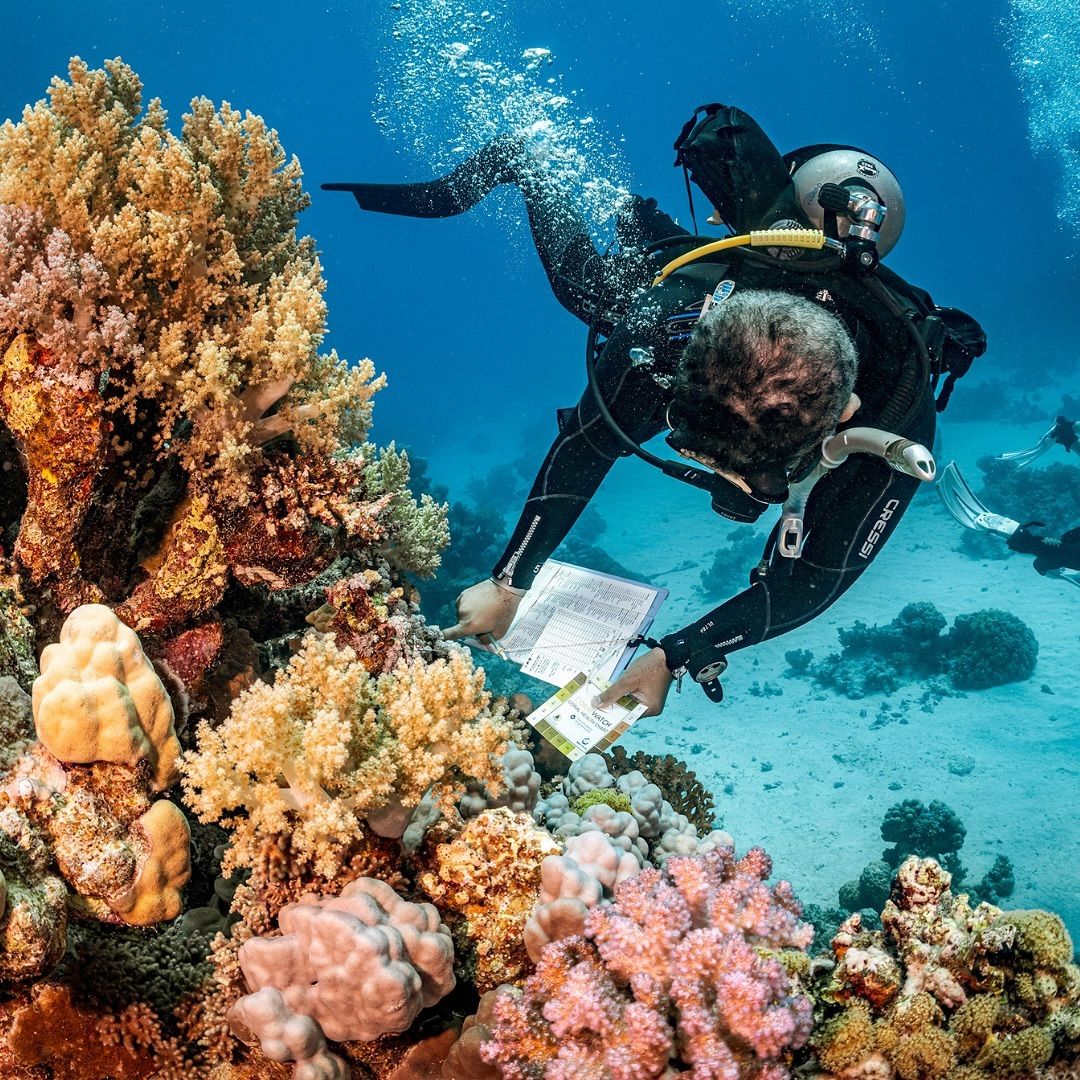 Ocean Conservation Experts